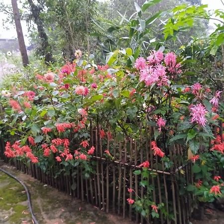 Pynursla Meikha Homestay מראה חיצוני תמונה