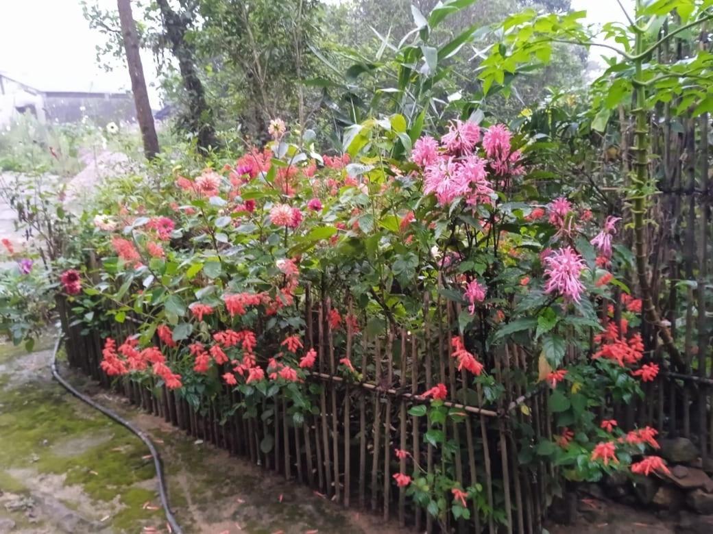 Pynursla Meikha Homestay מראה חיצוני תמונה